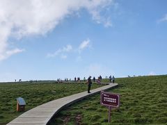 -芦芽山旅游度假区