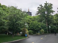 -浙江西子宾馆·牡丹厅