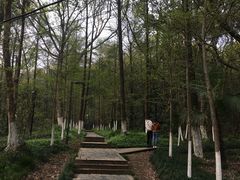-赭山公园