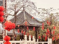 -飞来湖湿地公园