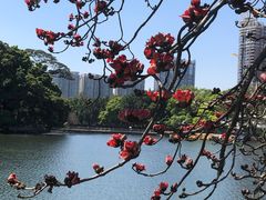 -东山湖公园