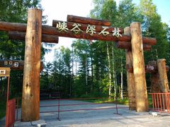 -峡谷浮石林景区