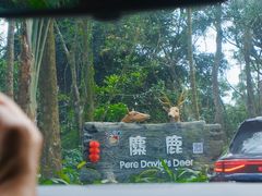 -海南热带野生动植物园