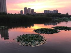 -前关湿地公园