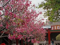 -宝墨园景区