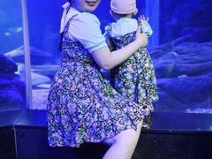 -江和美海洋公园