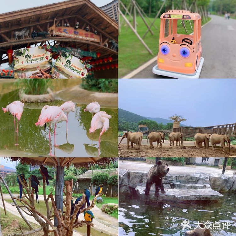 湖州旅游攻略｜龙之梦钻石酒店｜江浙沪周末游