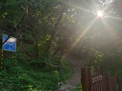 -阳台山自然风景区