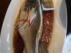 清蒸鲈鱼1.4斤-惠丰堂饭庄·烤鸭·京味菜(西北旺·唐家岭店)