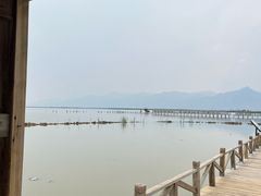 -哈素海