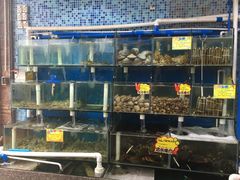 水产区-蚝专家(北滘店)