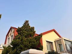 -八大关景区