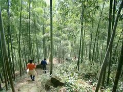 -山沟沟景区