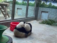 -西安秦岭野生动物园