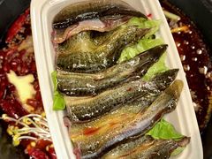 -扎起市井老火锅(乐山总店)
