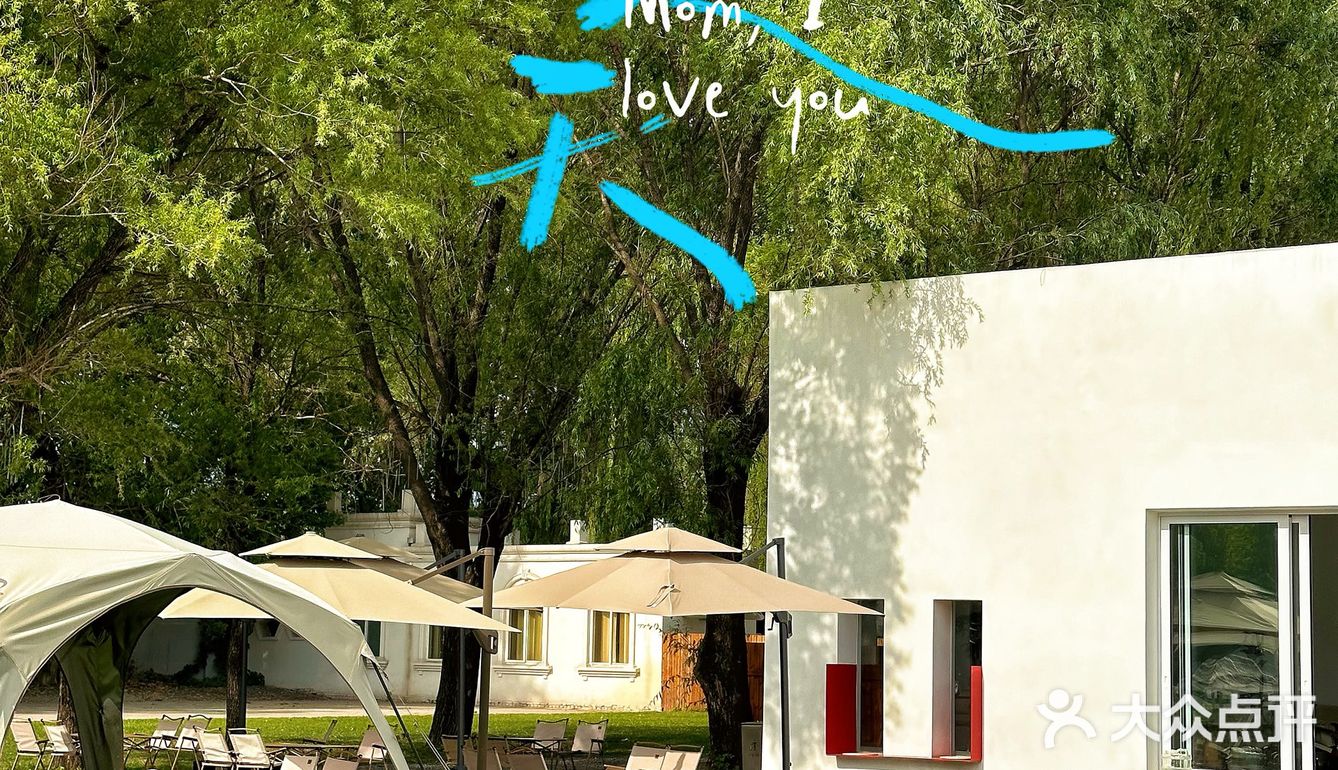 北京宠物友好咖啡厅