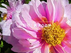 -仁和公园(顺义区)