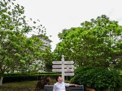 -紫颐香薰山谷景区