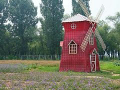 -北京东方普罗旺斯薰衣草庄园