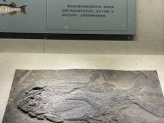 -柳州白莲洞洞穴科学博物馆