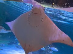 -沈阳海洋探索中心