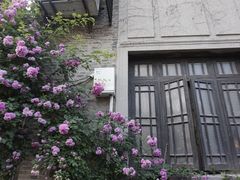 -鸡脚旮旯平江路店