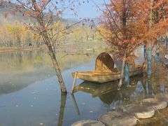 -千年银杏谷文化旅游区