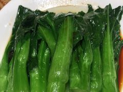 -宝园酒家(美林M·LIVE天地东座店)