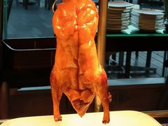 -厦门悦华酒店