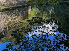 -云南屏边大围山国家公园