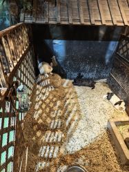 -酷嗒动物文化乐园(cutezoo西溪乐天城店)