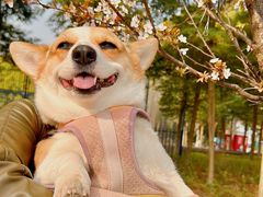 -国际非物质文化遗产博览园