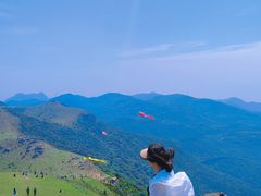 -大姆山草场