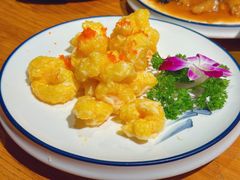 -1937青岛老味道·海肠捞饭·青岛菜(大鲍岛栈桥店)