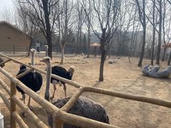 -大连森林动物园