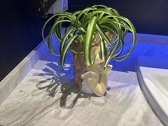 -海底捞火锅(长沙华创国际广场店)