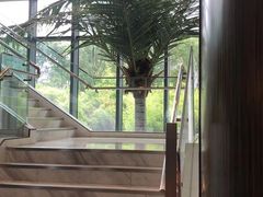 -上海虹桥西郊假日酒店