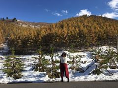 -苏木山森林公园