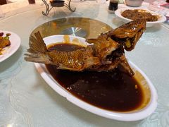 挣蹦鲤鱼-奥华餐厅·老张记(台基厂店)