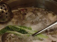 -润园四季椰子鸡火锅(海上世界店)