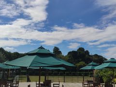 -厦门悦华酒店