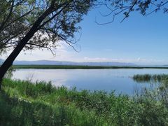 -野鸭湖国家湿地公园