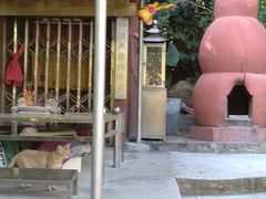-宋少帝陵