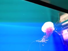 -福州罗源湾海洋世界旅游区