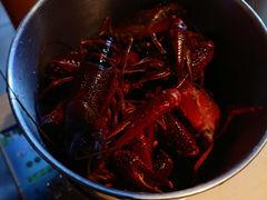 -星伦多自助料理(爱琴海店)