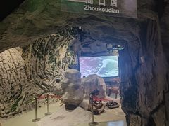 -房山世界地质公园博物馆