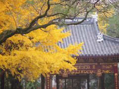 -汇龙潭