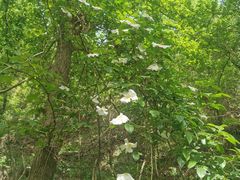 -浮山风景名胜区