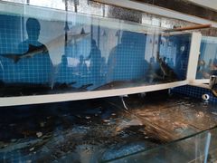 -星伦多自助料理·涮烤一体(杭州来福士店)