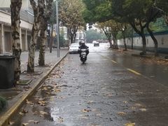 周边环境-致善宠物医院(体育路店)